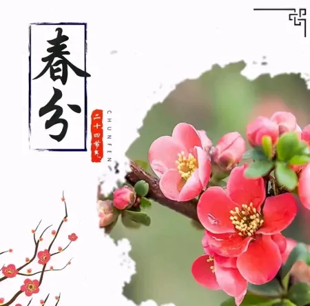 2021.03.20早安心语，春分正能量阳光语录最新图片